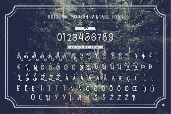 Galguna Free Trial font