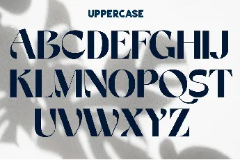 Vemka font