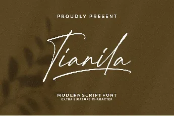 Tianila font