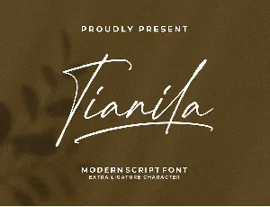 Tianila font