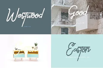 Ethons Styles Script font