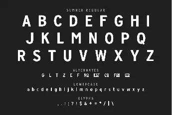 Sumner Typeface font