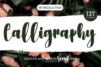 Calligraphy Typeface font