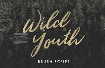 Wild Youth Free font