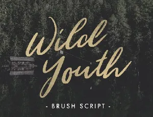 Wild Youth Free font