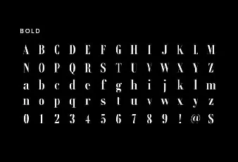 Rondal Serif Family font