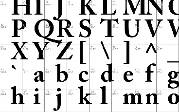 New Yorker font