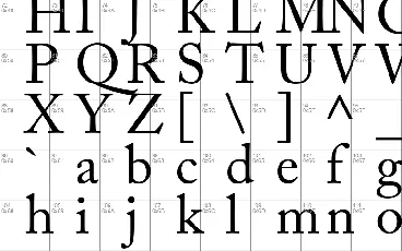 New Yorker font