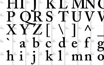 New Yorker font