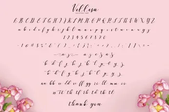 Vellesa Script font