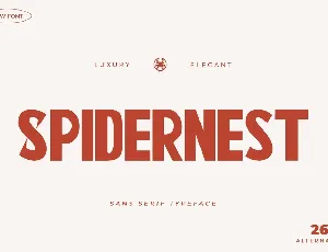 Spidernest font