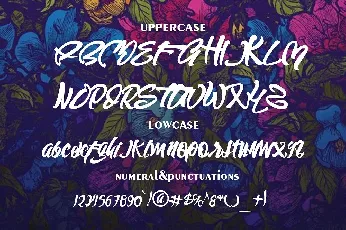 Wild Style Script font