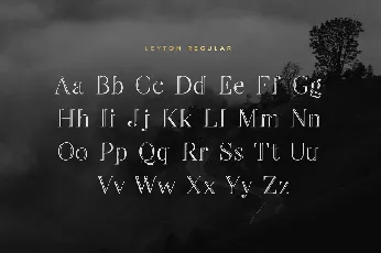 Leyton Typeface font