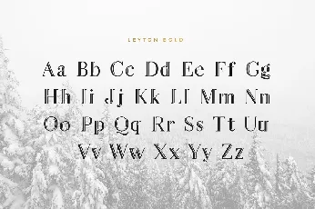 Leyton Typeface font