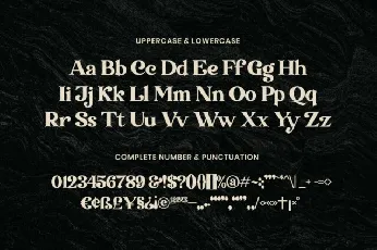 Transcity font