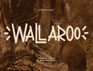 Wallaroo Demo font