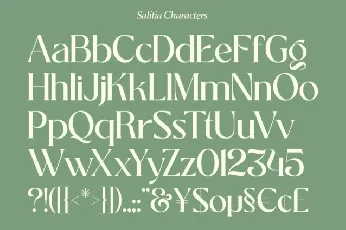 Salitia Serif font