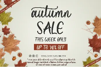 Diary Autumn font