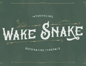 Wake Snake font