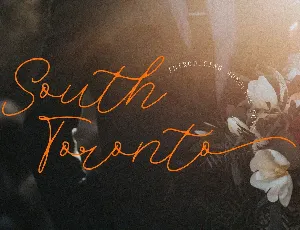 South Toronto font
