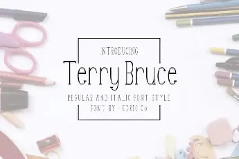 TerryBruce Sans Serif font