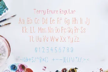 TerryBruce Sans Serif font