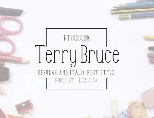 TerryBruce Sans Serif font