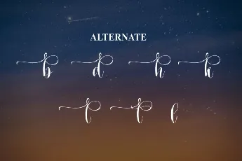 Starlink Calligraphy font