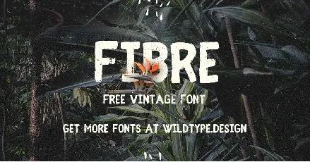 Fibre Free font