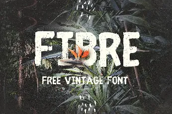 Fibre Free font