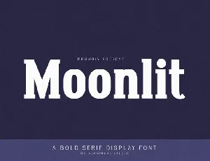 Moonlit font