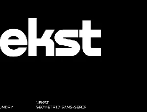 Nekst Family font