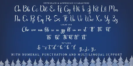 Christmas Bear - Personal Use font