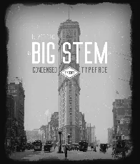 Big Stem Family font