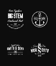 Big Stem Family font