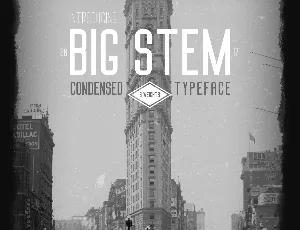 Big Stem Family font