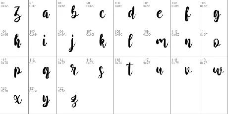 Rosetype font