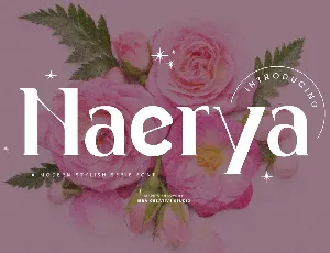 Naerya Personal Use font