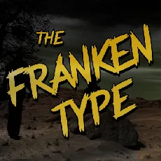 Frankentype Personal Use Only font