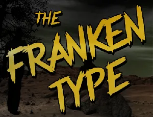 Frankentype Personal Use Only font