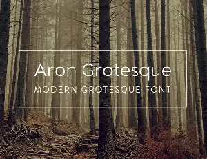 Aron Grotesque font