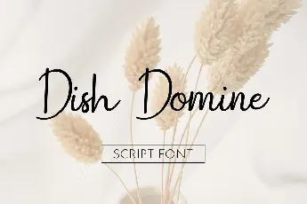 Dish Domine font