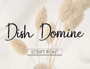 Dish Domine font