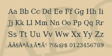 Bitstream Vera Serif font