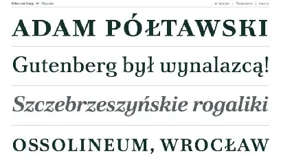 Poltawski Nowy Family font