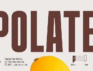 Polate font