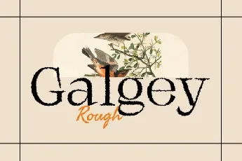 Galgey Rough font