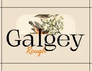 Galgey Rough font