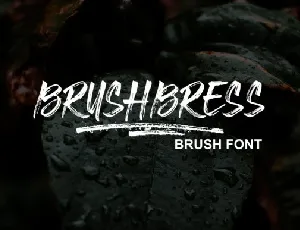 Brushbress font