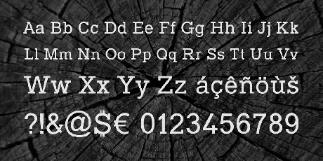 Typo Slab font